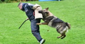 Challenge Romand du BA 2025