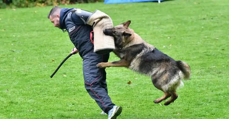 Challenge Romand du BA 2025