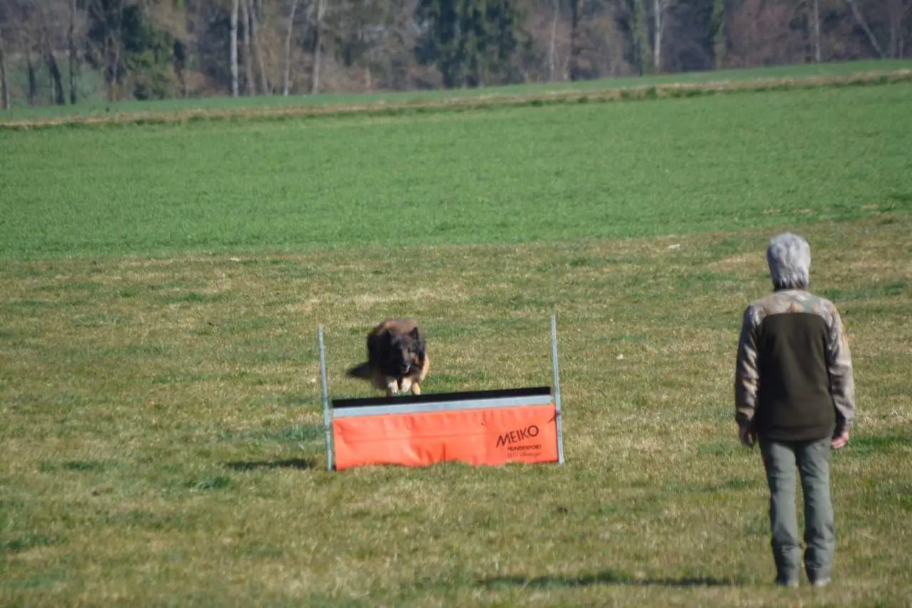 26.02.2022 – Concours ouvert toutes races