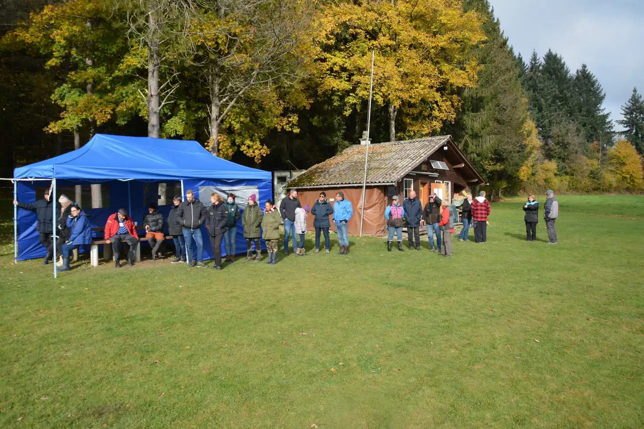 06.11.2021 – Concours ouvert toutes races