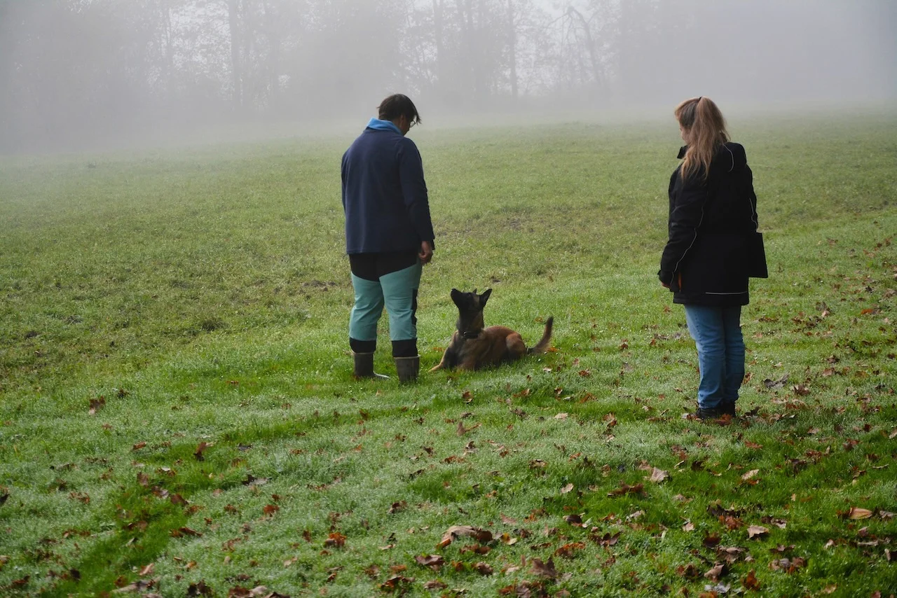 12.11.2022 – Concours annuel