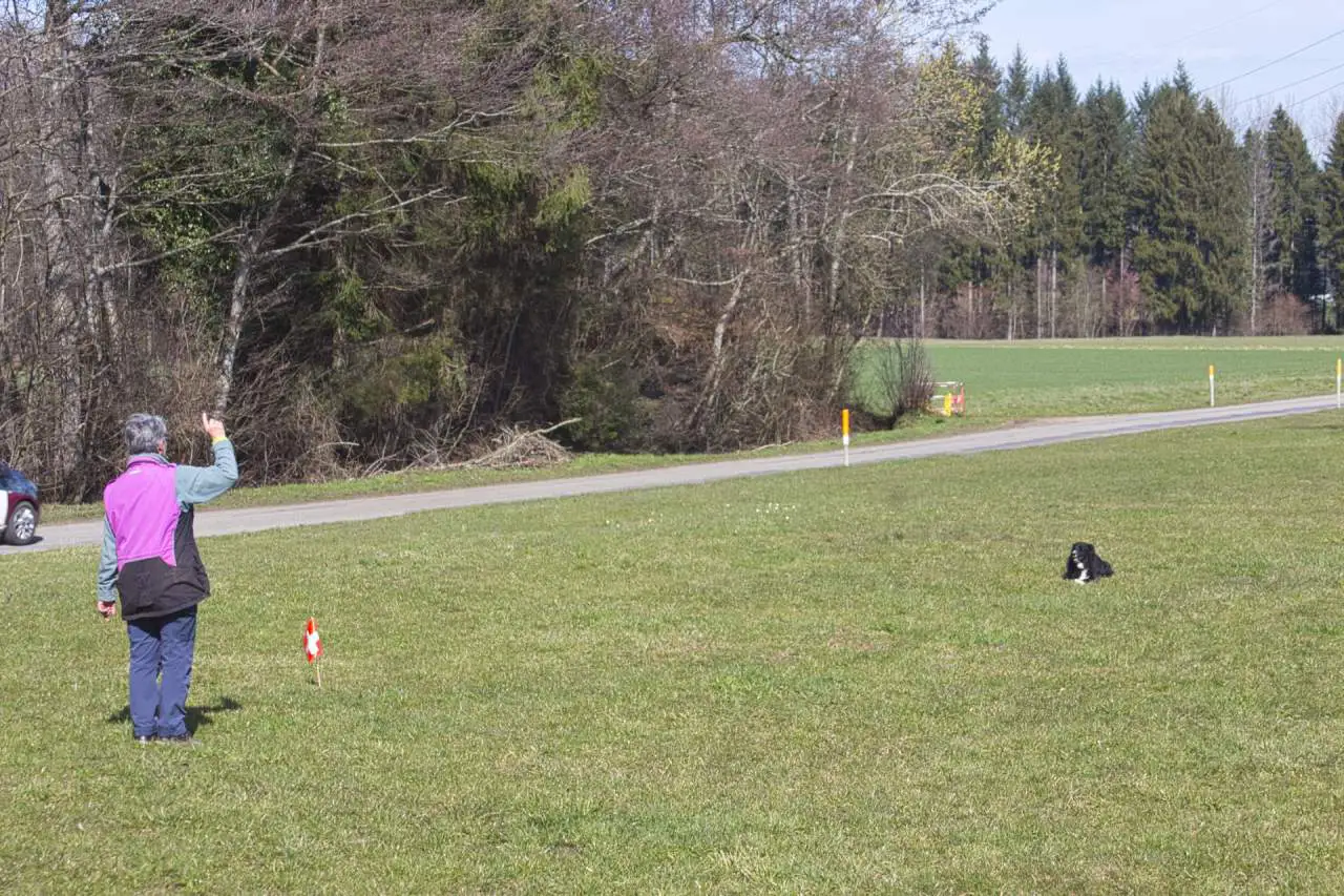 18.03.2023 – Concours Toutes Races