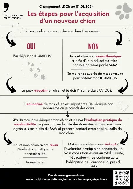 Acquisition d'un nouveau chien sur FR