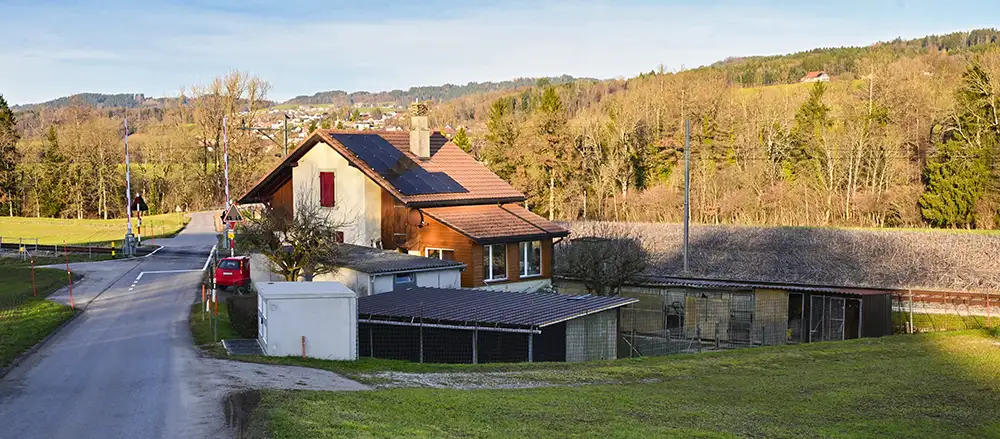 Élevage Les Charmilles, un élevage familial de Bergers Allemands dans la région du Jorat (FR)
