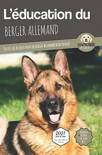 L'éducation du Berger Allemand