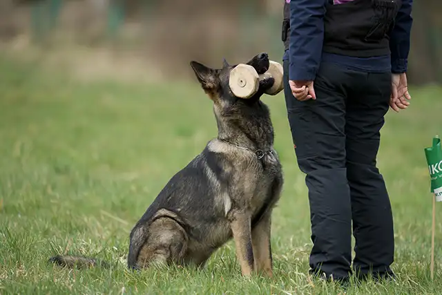 Un-concours-ouvert-a-tous