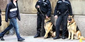 police de chiens VD