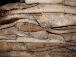 tas-de-peaux-de-buffle