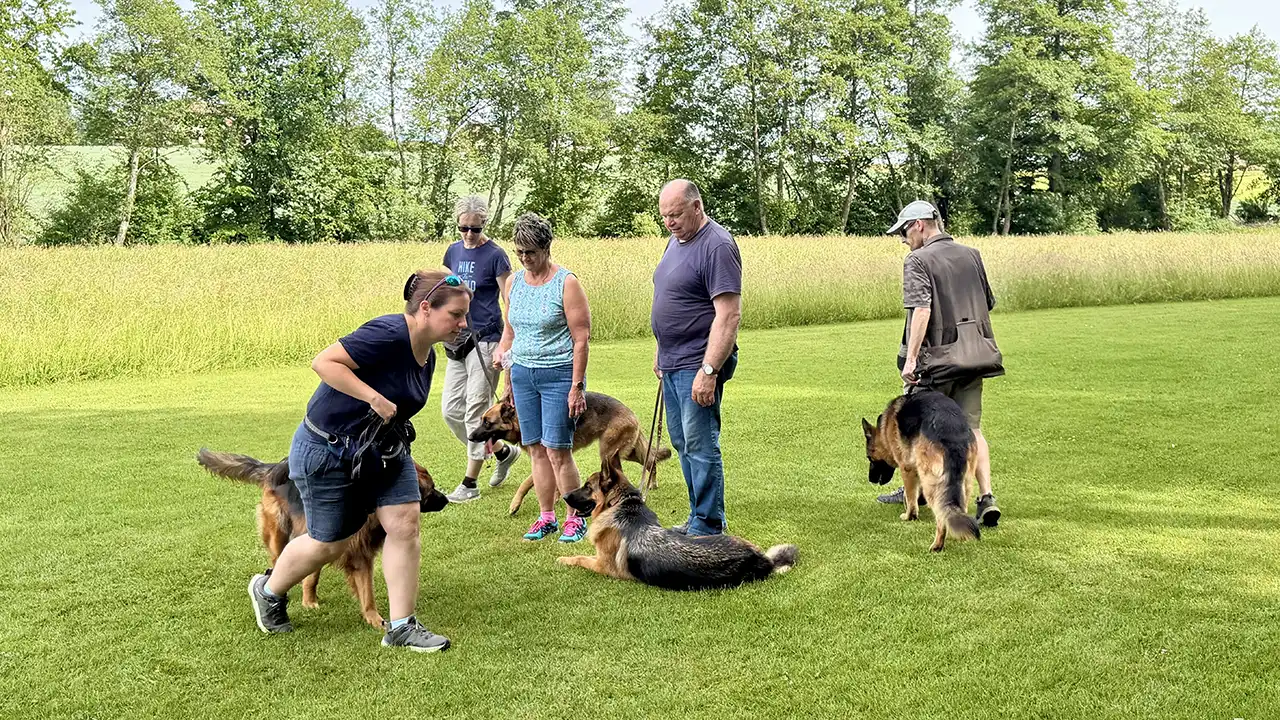https://balejorat.ch/30-mai-2026-entrainement-a-la-cabane-du-club/