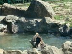13041.jpg