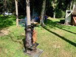 13060.jpg