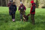15802.jpg
