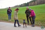 16917.jpg