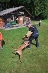 17338.jpg