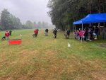 15070.jpg