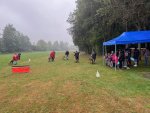 15071.jpg