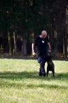 DSC_0540.webp
