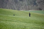 DSC_0557.webp