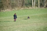 DSC_0564.webp