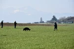 DSC_0599.webp