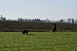 DSC_0605.webp