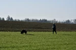 DSC_0606.webp