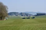 DSC_0631.webp