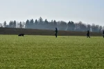 DSC_0647.webp