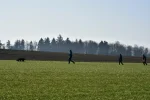 DSC_0648.webp