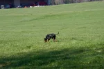 DSC_0683.webp