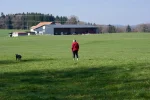 DSC_0684.webp