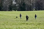 DSC_0705.webp