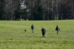 DSC_0706.webp