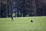 DSC_0712.webp