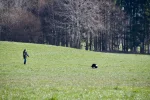 DSC_0717.webp