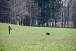 DSC_0718.webp