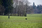 DSC_0719.webp