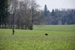DSC_0720.webp