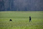DSC_0723.webp