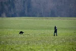 DSC_0724.webp