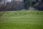 DSC_0740.webp