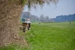 DSC_0746.webp