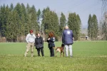 DSC_0782.webp