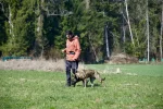 DSC_0800.webp