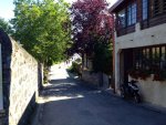 4736.jpg